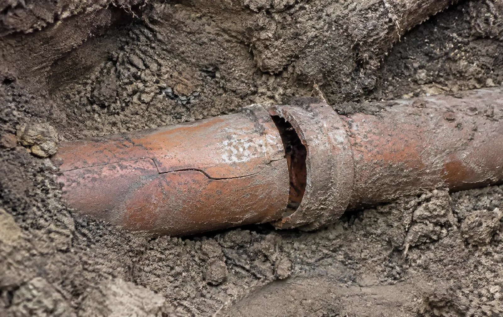 Cracked clay drain pipe with a displaced joint