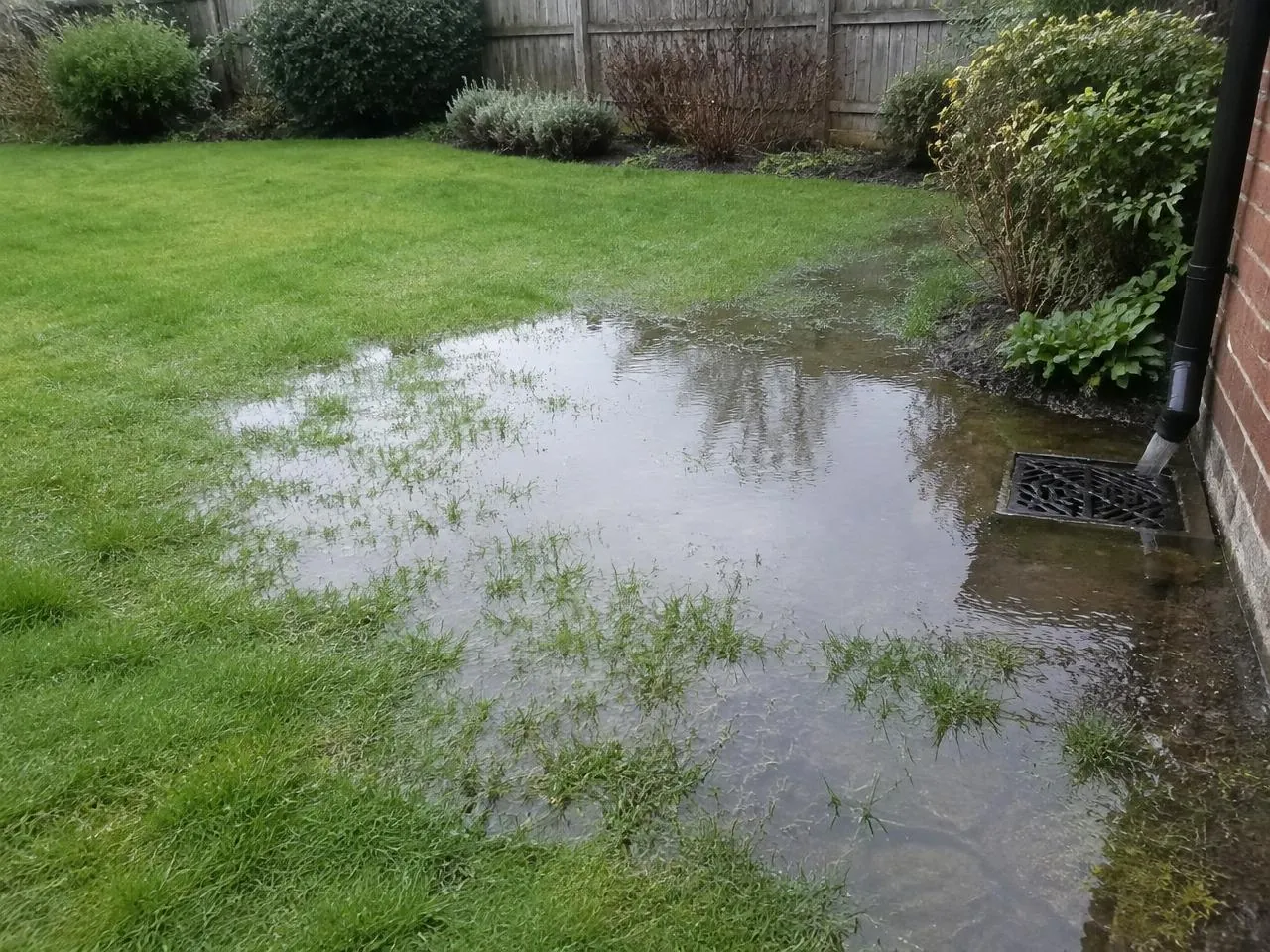 Surface water standing on a garden lawn beside a drain gully